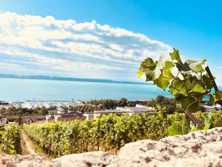Charmant Appartement De Vacances Alta Ripa Hauterive  Екстериор снимка