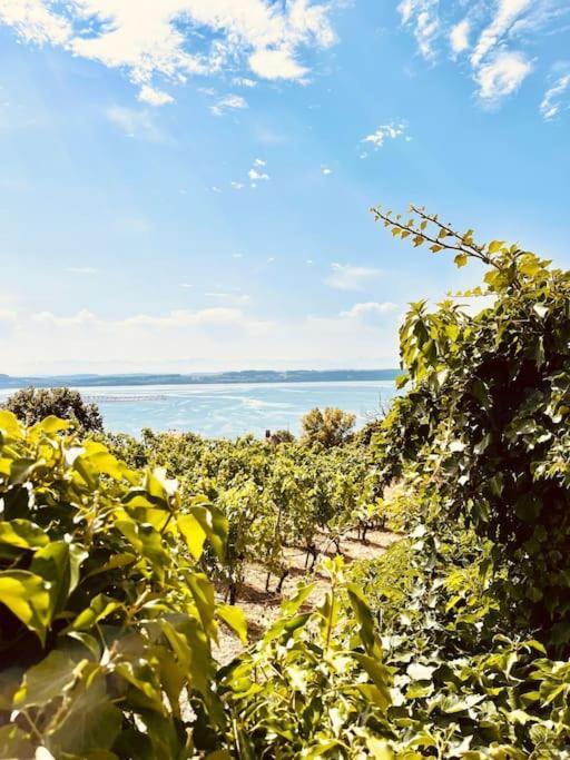 Charmant Appartement De Vacances Alta Ripa Hauterive  Екстериор снимка